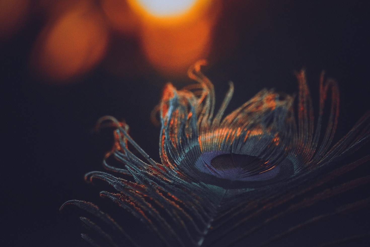 How We Ensure Comfort and Safety for Senior Travelers