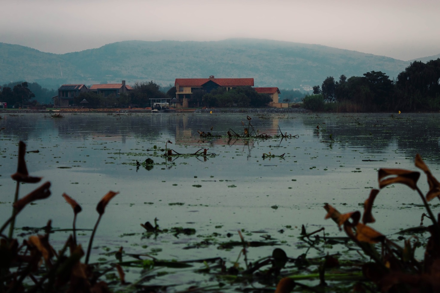 Tailored Travel Plans for Families and Solo Adventurers